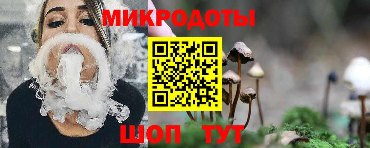 Псилоцибиновые грибы Psilocybine cubensis  Галлюциногенные грибы мицелий  Вход с VPN  Орехово-Зуево 